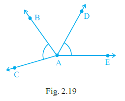 Page 28 Chapter 2 Class 6th NCERT Exemplar
